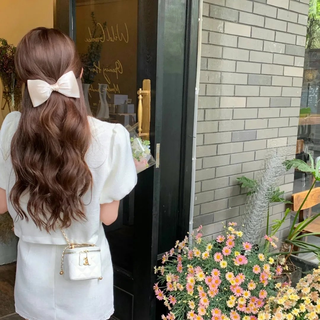 夏绿蒂的网